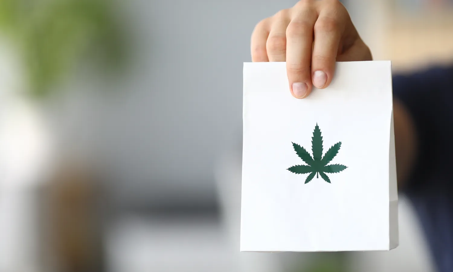 Affordable Bulk Cannabis Halifax: Quality Products at Competitive Prices