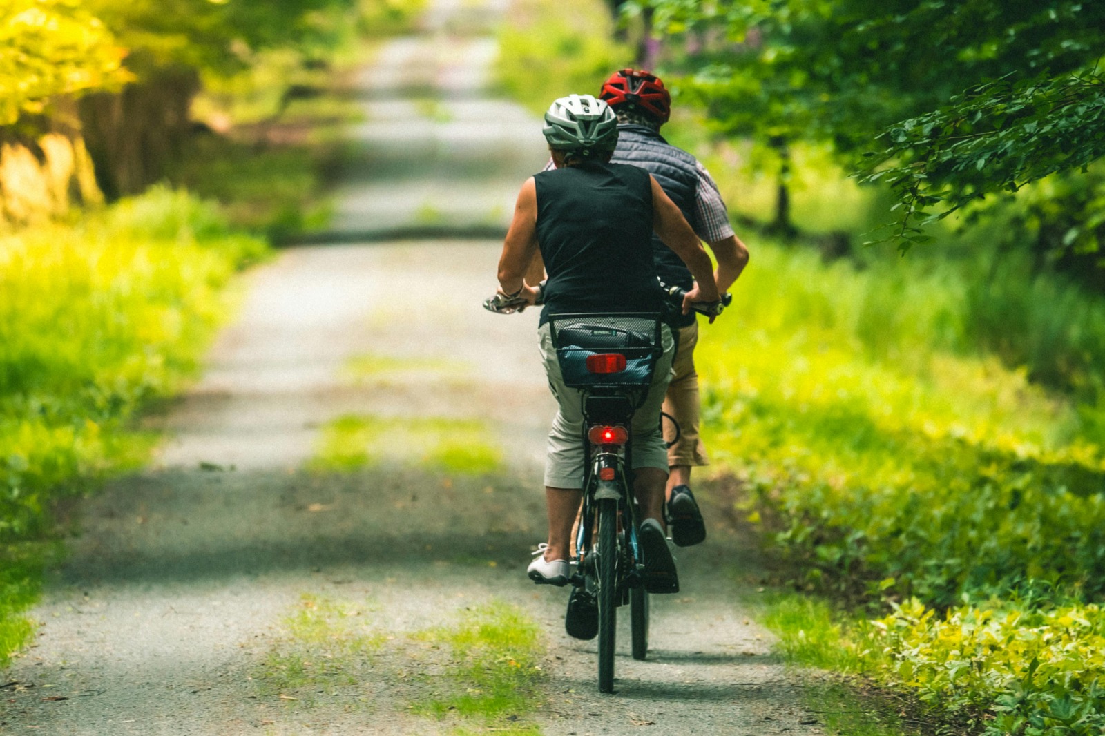Cool Trails: 7 Epic Wildlife &amp; Hiking Adventures Nearby