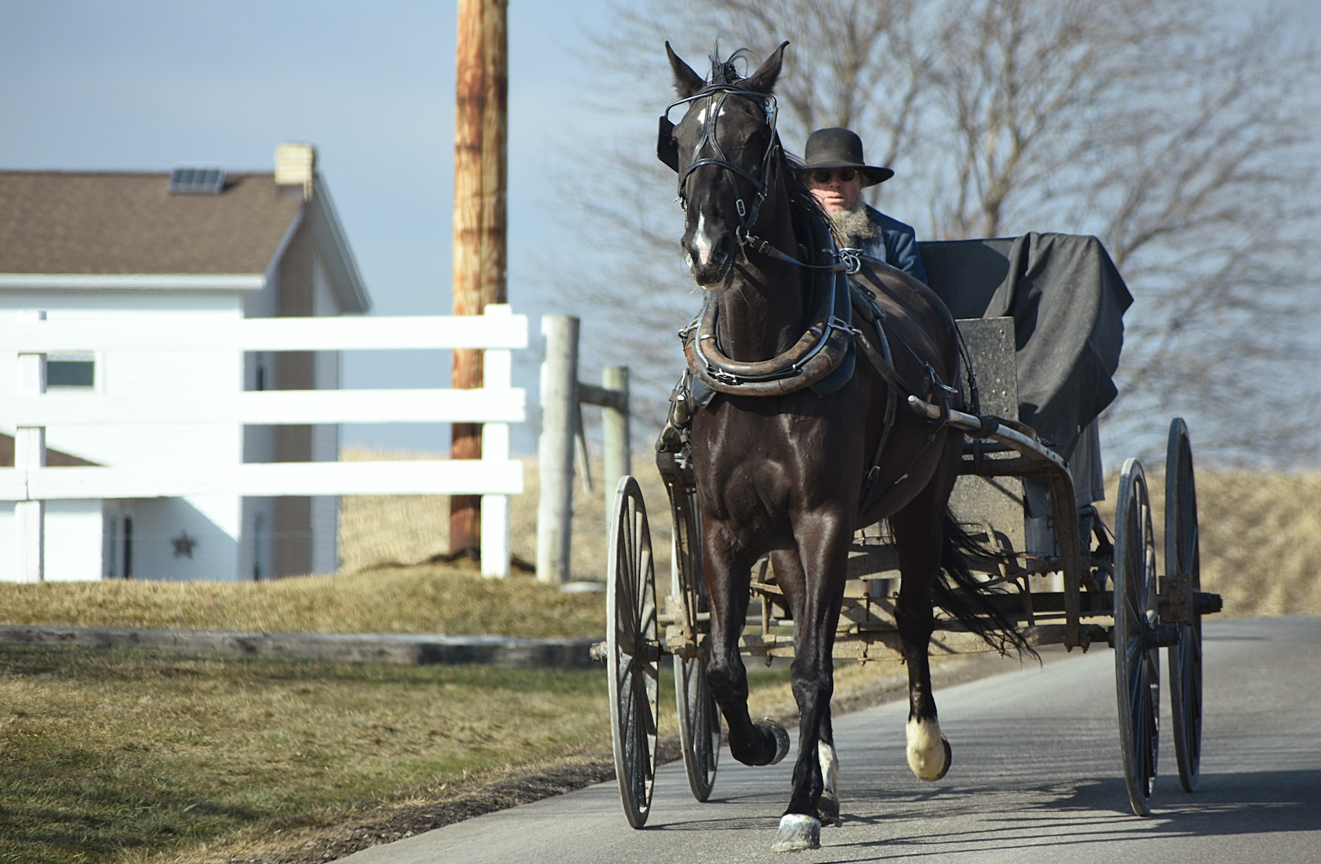 How Do the Amish Make Money?