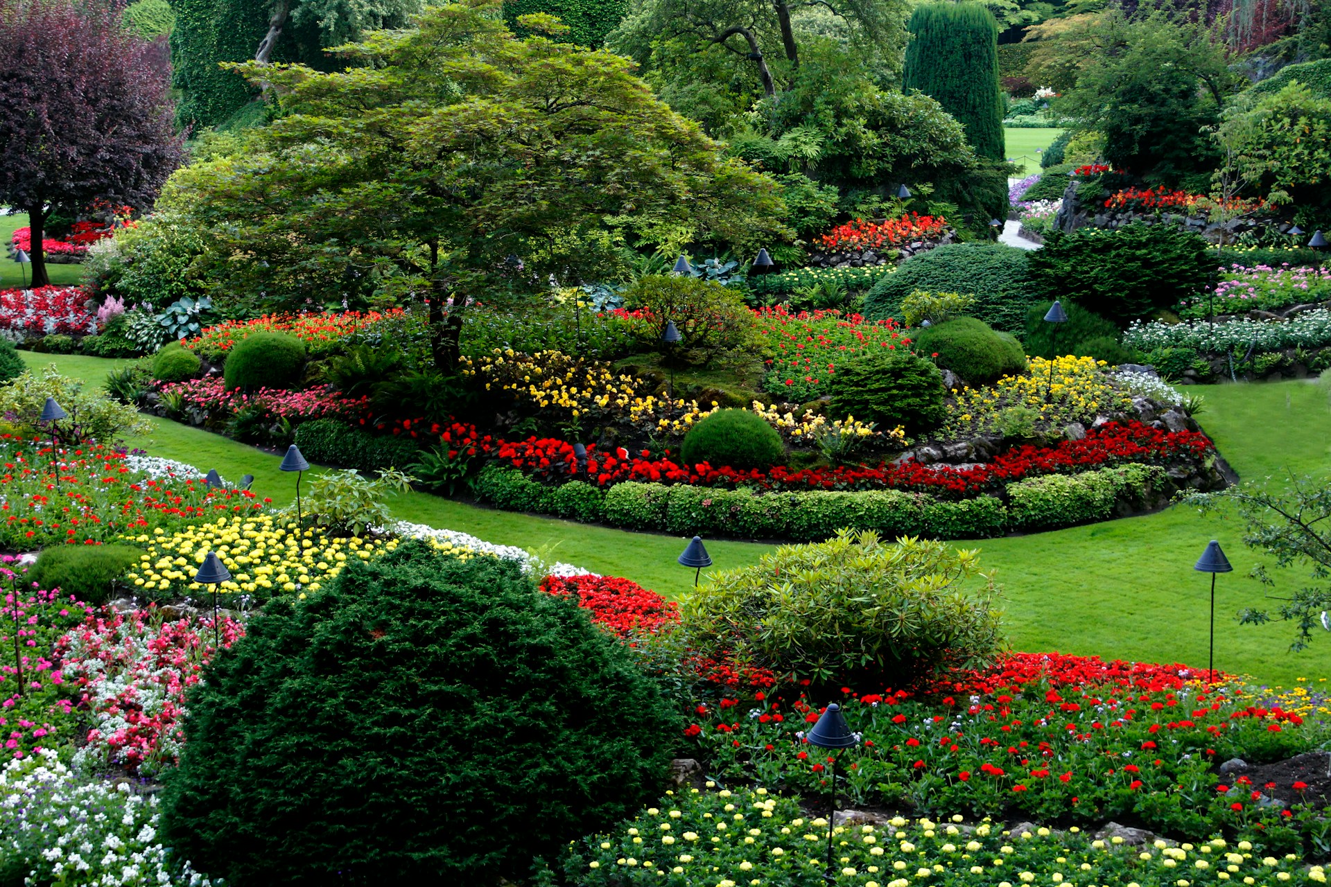 20 Landscaping Business Ideas You Can Start Today